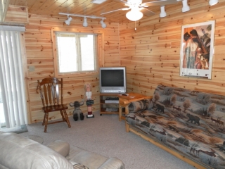Family room on lower  walkout level
